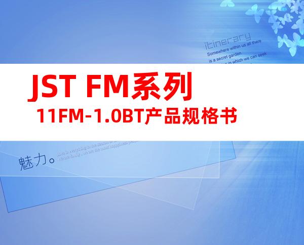 JST FM系列 11FM-1.0BT产品规格书